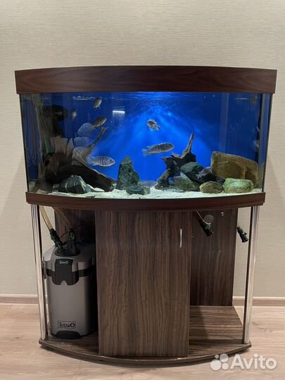 Аквариум