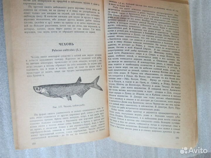 Книга о рыбалке Сабанеев