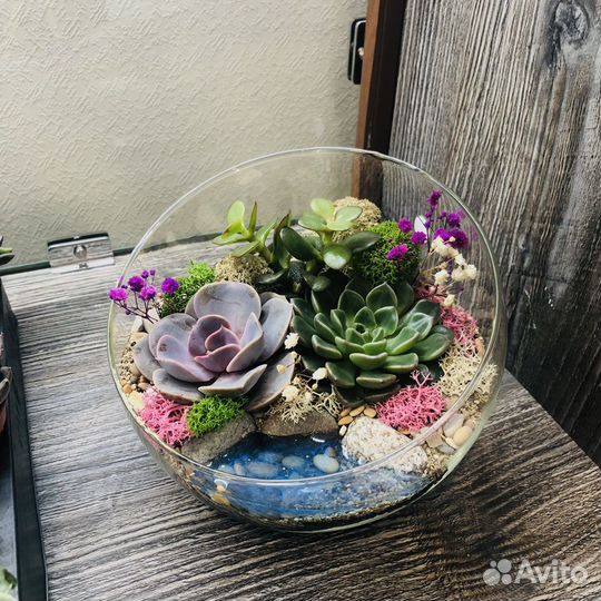 Флорариум с суккулентами