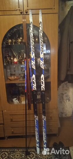 Беговые лыжи