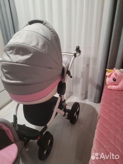 Коляска Adamex Avila 2 в 1
