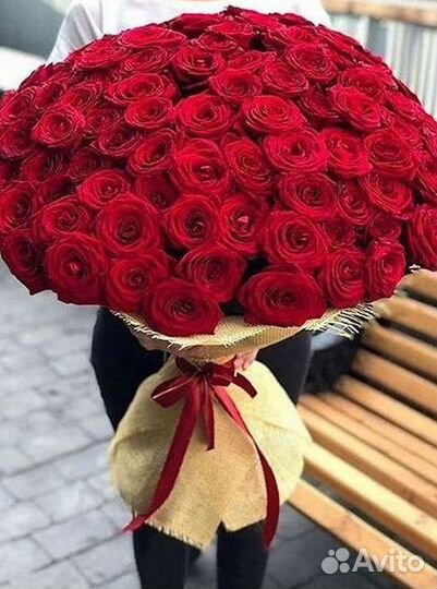 Высокие розы Гигантские Розы 150 160 170 180 190см