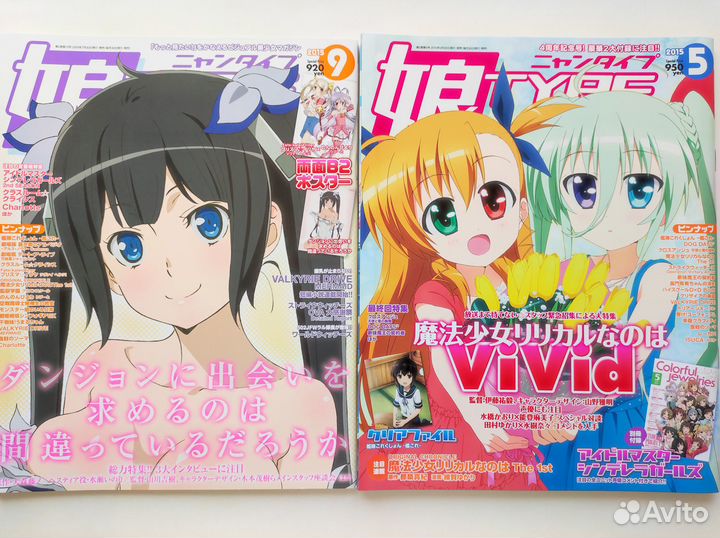 Аниме-журналы Nyan Type, Newtype