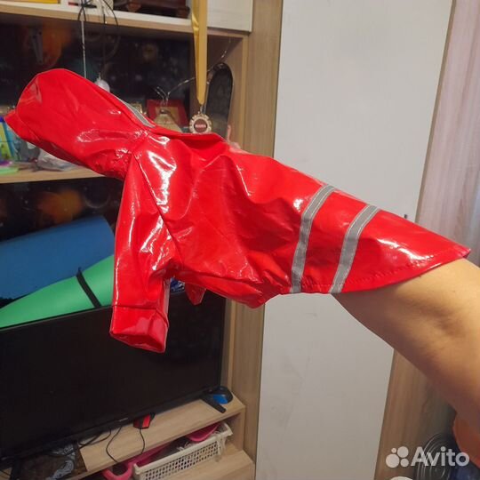 Дождевик для маленькой собаки