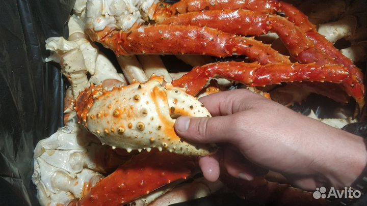 Конечности Камчатского Краба Супер Крупные L4