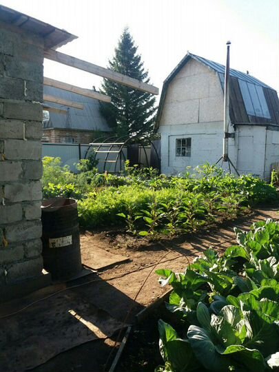 Дача 44 м² на участке 5 сот.