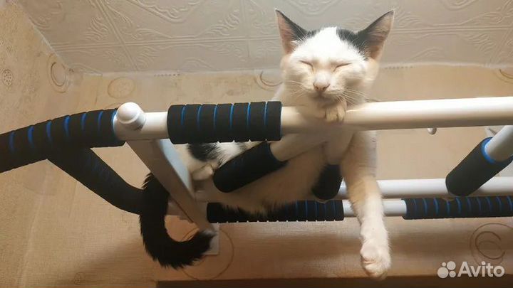 Турник Тарантул