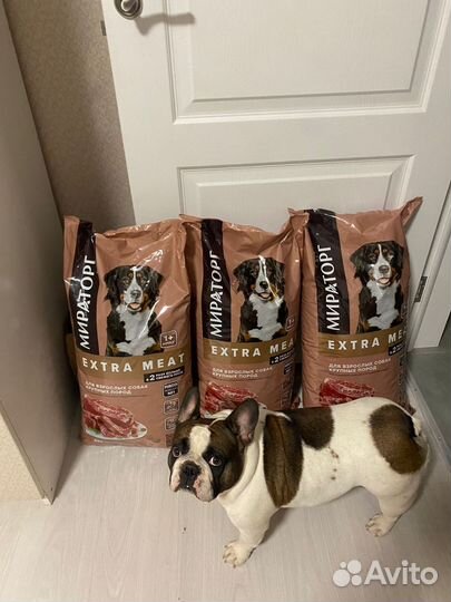 Сухой корм для собак Мираторг