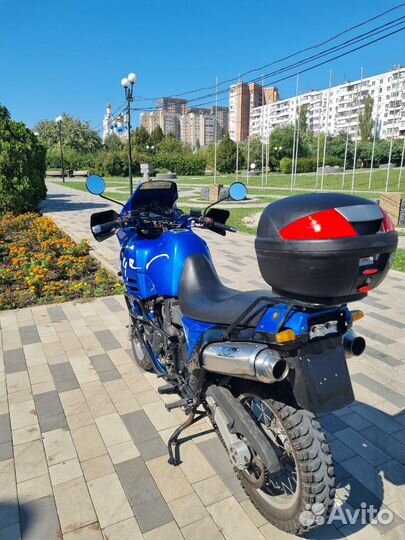 Triumph tiger 900