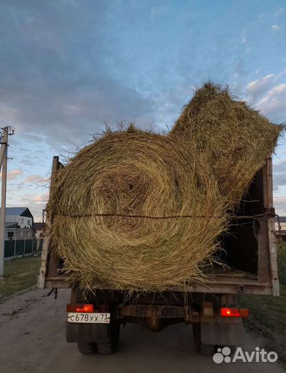 Услуги газ 3309 вывоз мусора