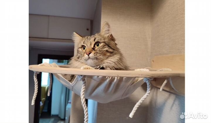 Гамак для кошки на стену