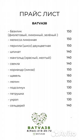 Мелисса лимонная свежая зелень