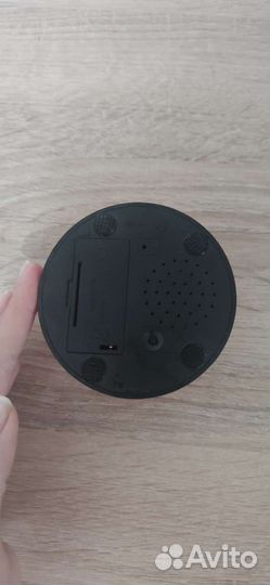 Дрессировка собак