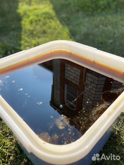 Мед Алтайское разнотравье оптом 2023