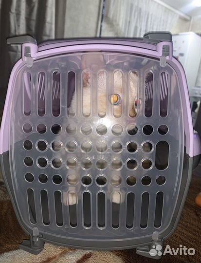 Переноска для кошек