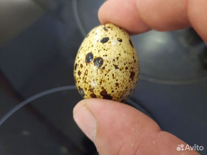 Яйца перепелиные 18 шт. в упаковке