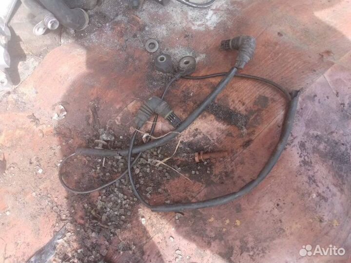 Датчик детонации Bmw X5 M62B44TU 1999