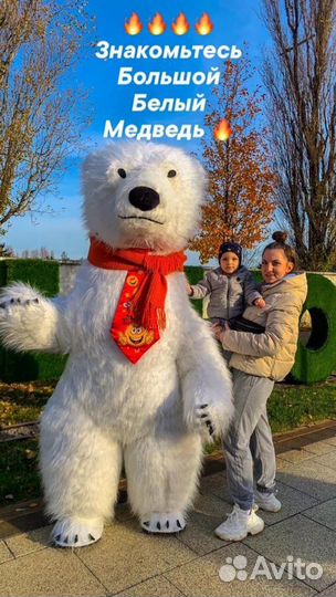 Белый Медведь или Мишка Тедди