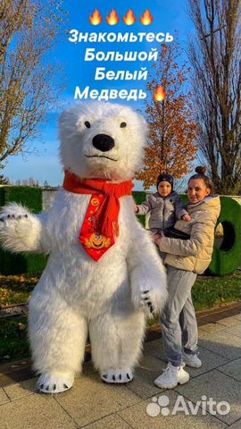 Белый Медведь или Мишка Тедди