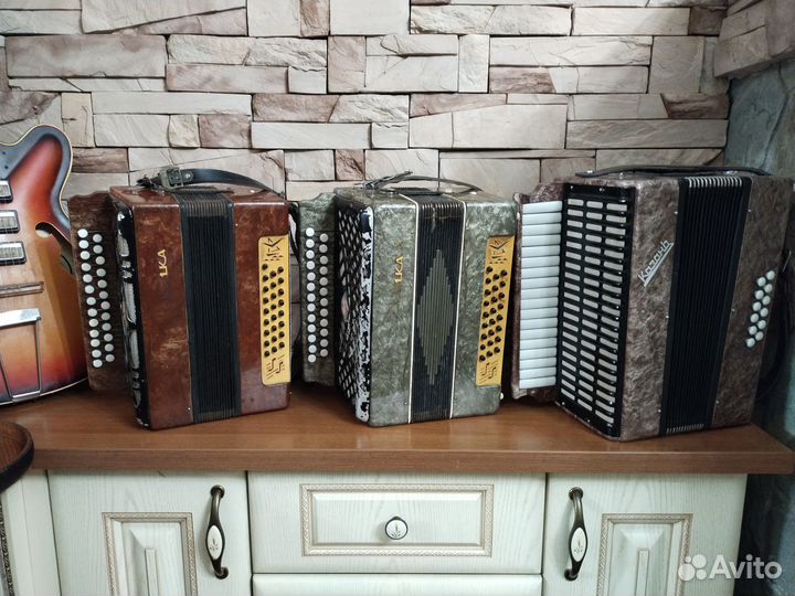 Гармонь чайка2