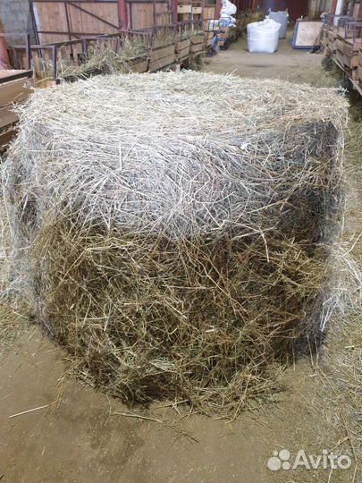 Сено в рулонах (из многолетних трав)