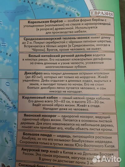 Карта мира огромная новая