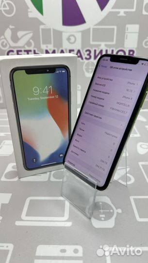 iPhone X, 256 ГБ