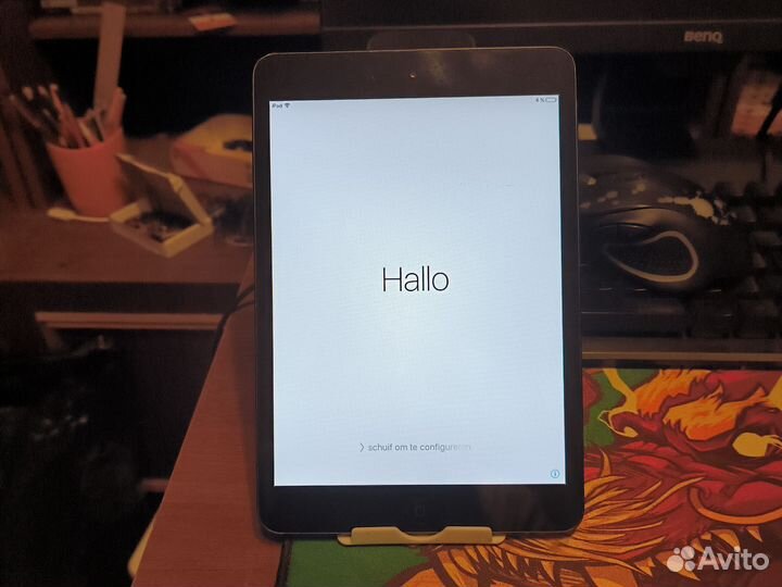 iPad mini 1
