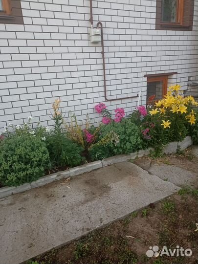 Цветы