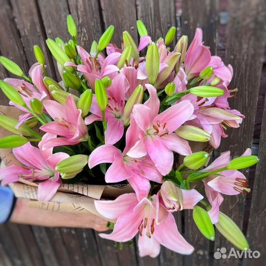 Лилия розовая 3 шт