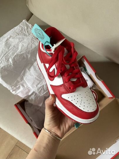 Nike sb Dunk low red