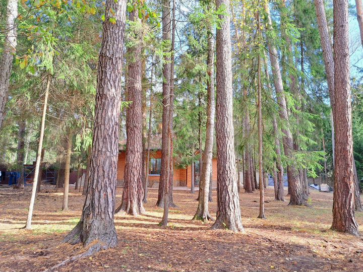 Коттедж 163,7 м² на участке 13 сот.