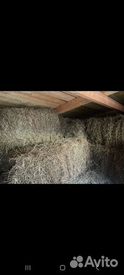 Сено в тюках