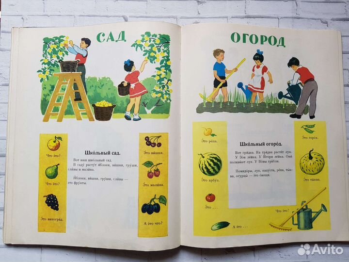 Учебники СССР Русский язык в картинках Баранников