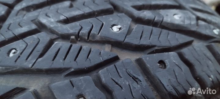 Tigar Ice 205/55 R16