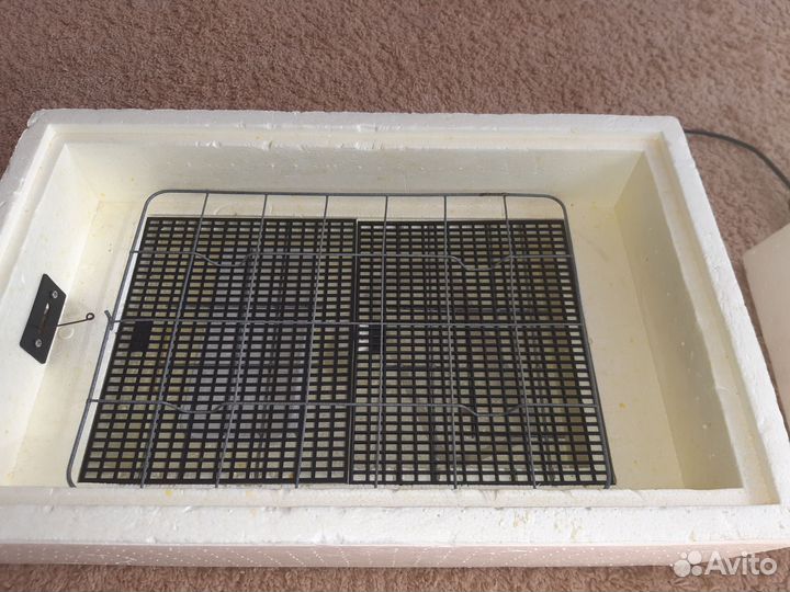 Инкубатор для яиц