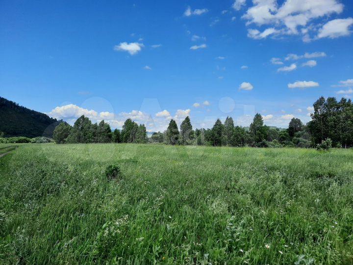 Участок 5,2 га (СНТ, ДНП)