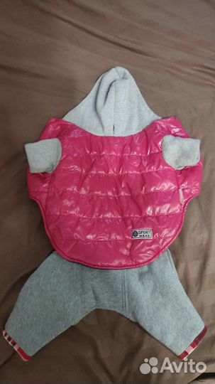 Одежда для маленьких собак