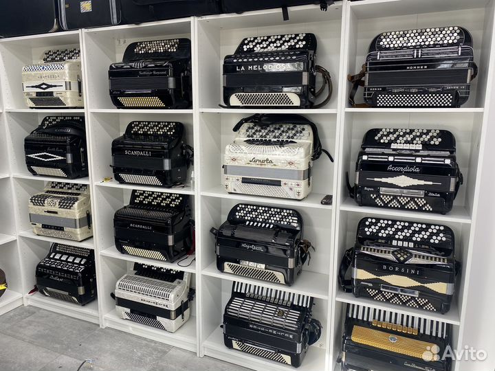 Итальянские и немецкие баяны