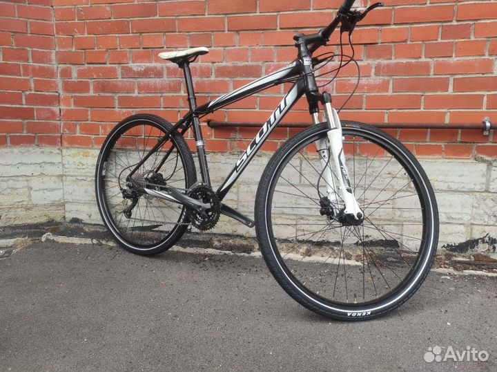 Гибрид Scott(USA) рама L