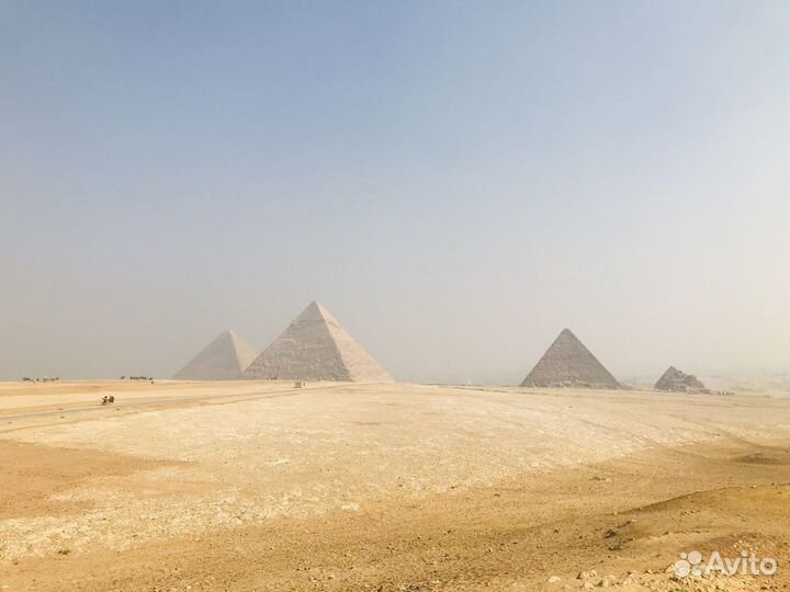 Репетитор арабского и английского языка