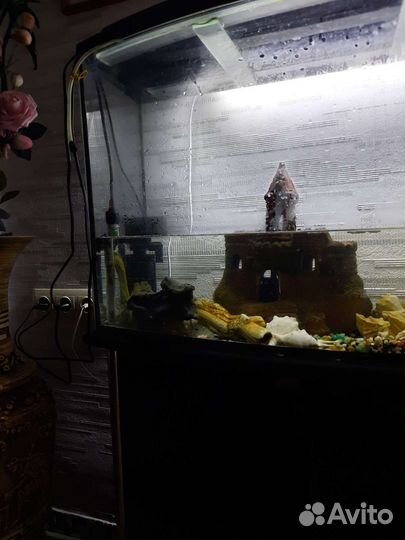 Аквариум