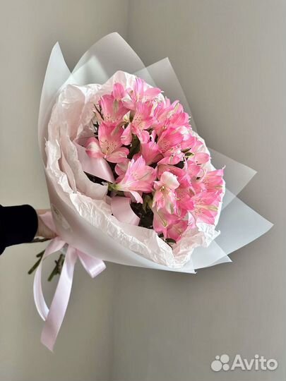 Альстромерия Альстромерии