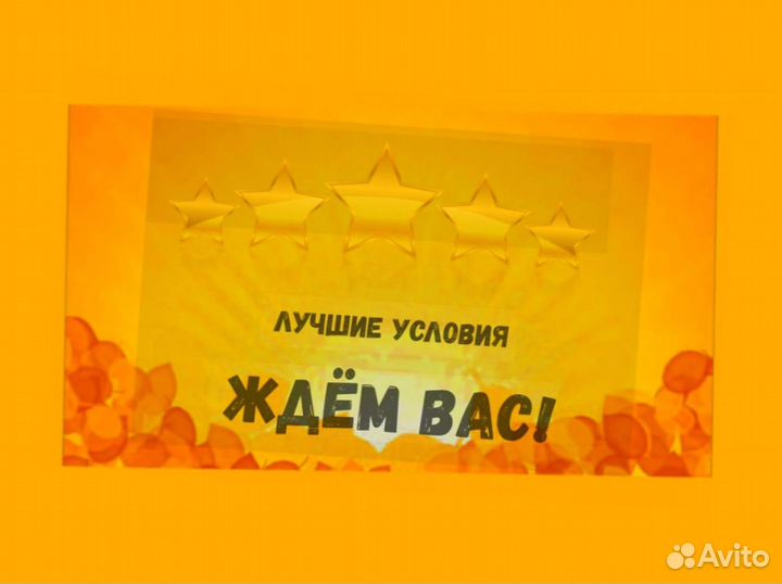 Оператор линии без опыта Еженедельные выплаты Одежда