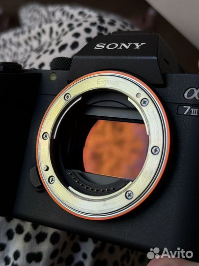 Фотоаппарат sony a7 iii