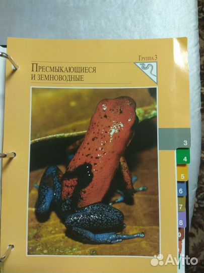 Папка энциклопедия