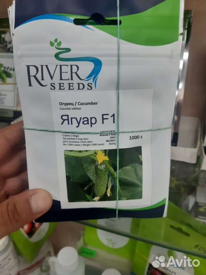 Огурец ягуар f1 семена 10шт