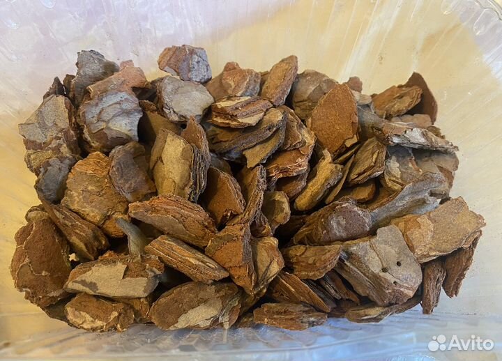 Пересадка орхидей, помощь по восстановлению