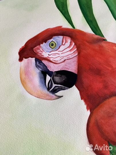 Картина «Тропический попугай», 50*70 см, акварель