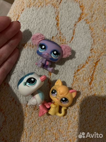 Книги и игрушки